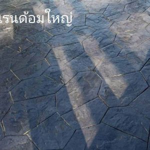 LINE ALBUM ลาย 250606 5